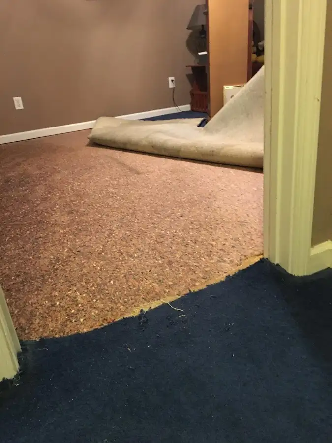 Carpet pad removal revealing water damage during Drying & Dehumidification in Picnic Point
