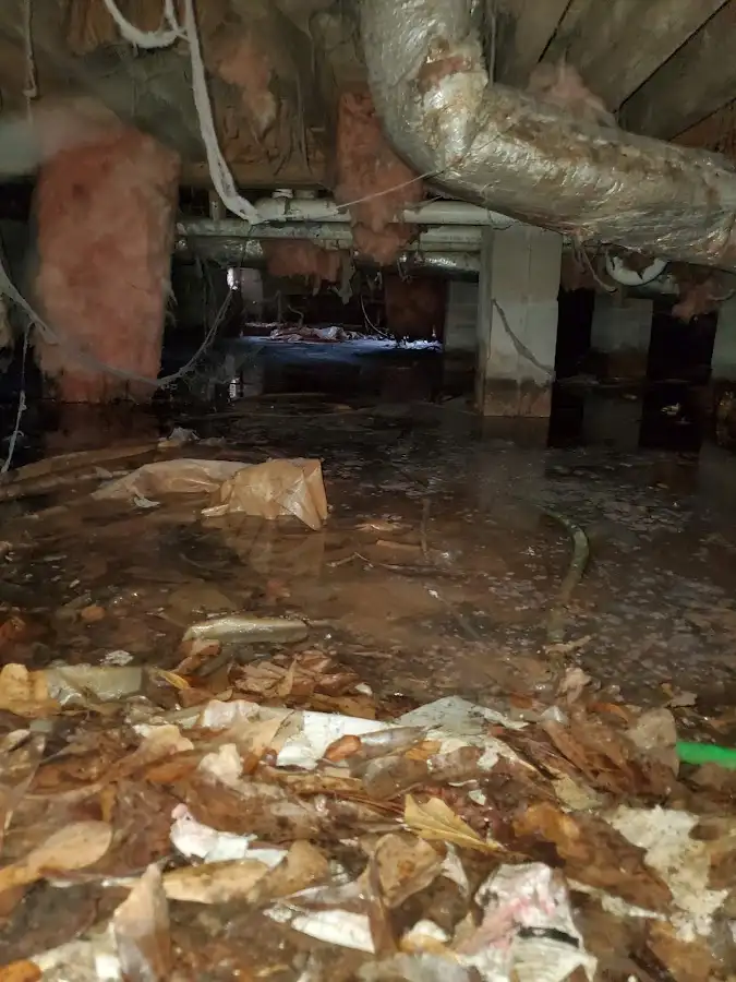 Crawl space flood assessment for Commercial Water Damage Restoration in Picnic Point