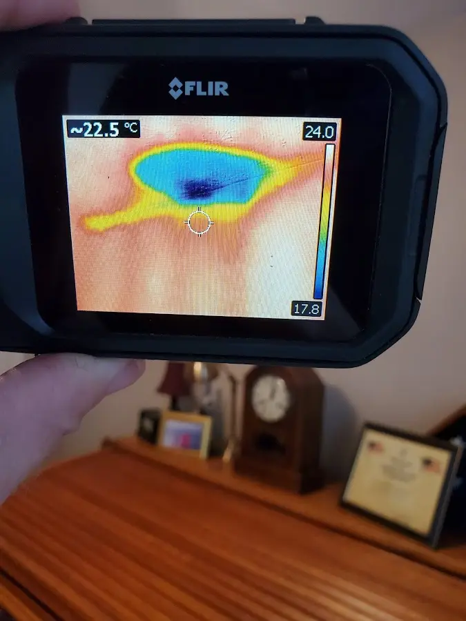 Thermal imaging inspection for water damage in Picnic Point